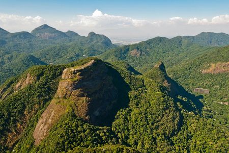 Guided half-day Tijuca forest express hike