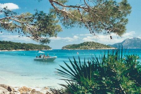 Half-day cruise to Formentor beach from Alcudia