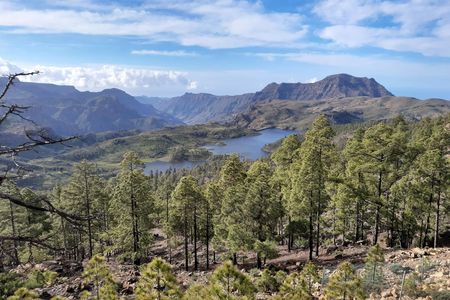 Full-day hiking tour in Gran Canaria: route of the week