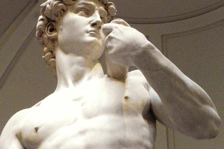 Skip-the-line fixed entrance: Michelangelo's David small group tour