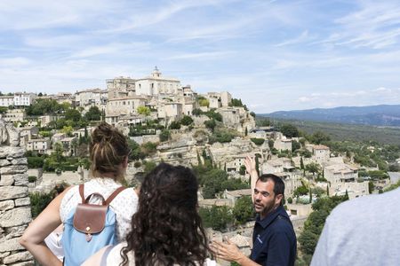 Chateauneuf-du-Pape and Luberon tour with wine tasting