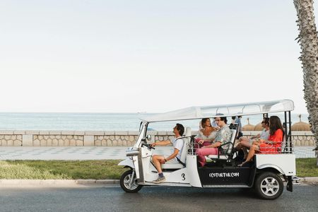 2-hour expert tour of Malaga in a private electric tuk-tuk