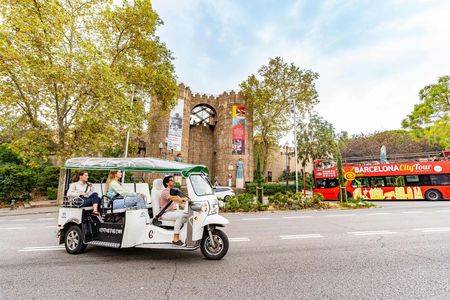 2-hour expert tour of Barcelona in a private electric tuk-tuk