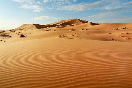 Half-day guided tour to Sahara sand dunes from Agadir
