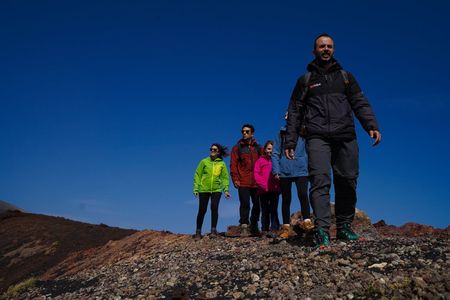 Guided excursion on Etna from Catania with tasting