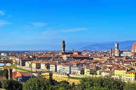 Accademia Gallery and Uffizi Guided Tour with Optional Lunch