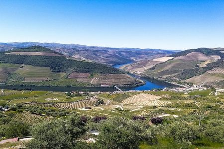 Full-day Douro Valley and wineries tour
