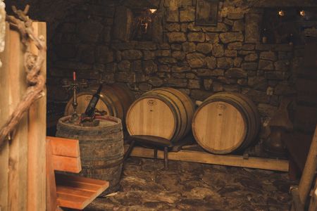 Virpazar and Rijeka Crnojevića wine and gastronomy private tour