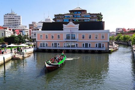 Aveiro and Costa Nova beach private tour
