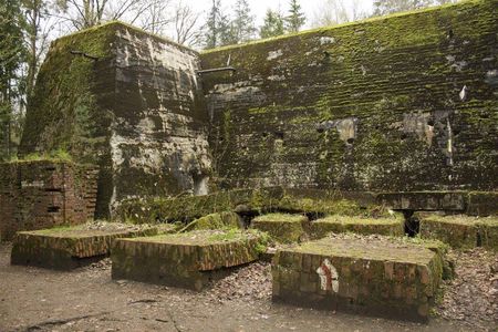 Wolf's Lair and Swieta Lipka small-group tour with lunch from Warsaw