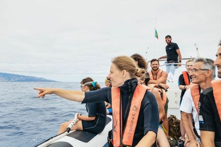 Whale and Dolphins Experience in Madeira