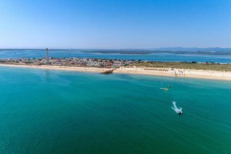 Private half-day boat tour in Ria Formosa