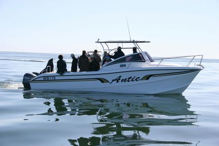 TUI Tours: marine cruise at Walvis Bay in Namibia