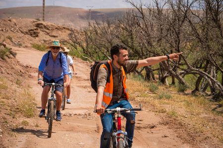 Bike tour in Marrakech's palmgroove with a local guide