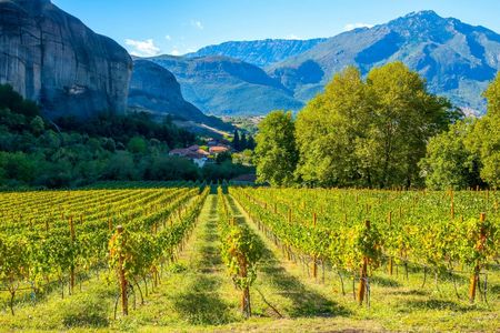 Meteora private wine tasting experience