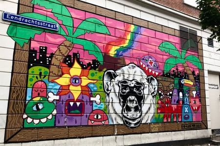 Rotterdam street art private walking tour