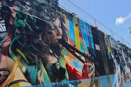 Best of Wynwood street art walking tour
