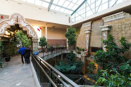 Bird Kingdom admission tickets