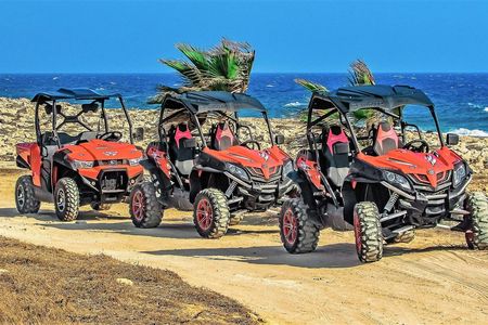 Buggy car sunset with barbecue and camel ride in Marsa Alam