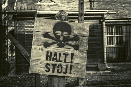 Krakow and Auschwitz Small Group Tour from Warsaw with Pick-up and Lunch
