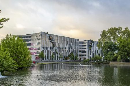 Instagram tour of Düsseldorf with a private local guide