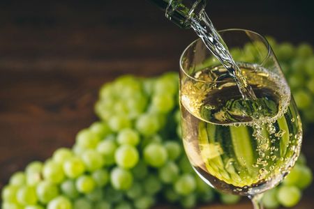 Wine and cheese pairing tasting in Chablis