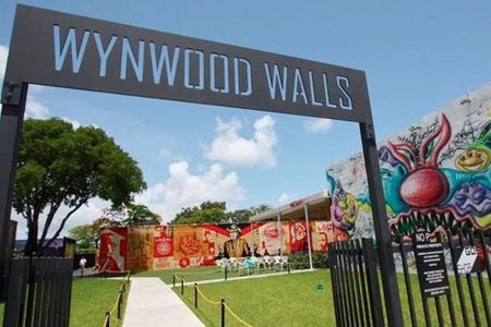 Wynwood walls and street art tour