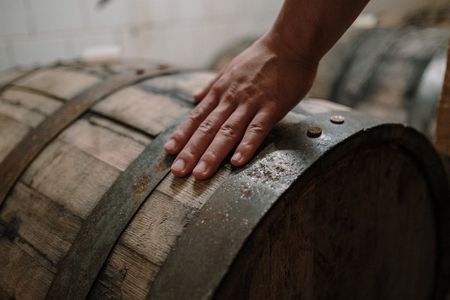 Vino Cotto wine cellar experience with wine tasting