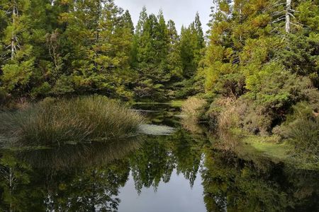 Terceira Island walking trails tour
