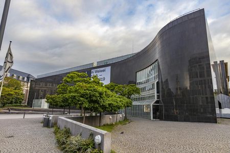 Discover Düsseldorf in a top intro tour with a local