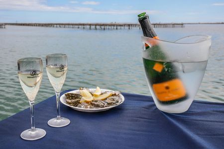 Visit to a mussel farm with tasting