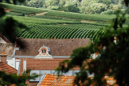 Private guided tour of the Canard Duchêne cellars