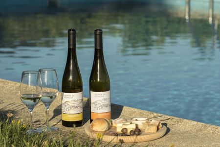 Quinta de Lourosa vineyard and cellar guided tour with tasting