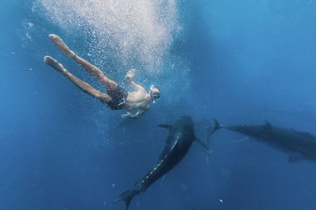 2-hour catamaran cruise to swim with tuna in L'Ametlla de Mar