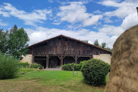 Full-day tour from Bilbao to discover the Basque rural culture