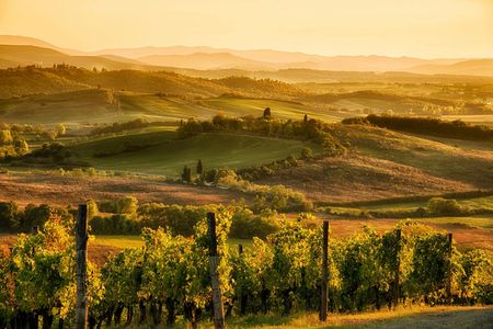 E-Vespa tour at sunset with dinner in Chianti countryside