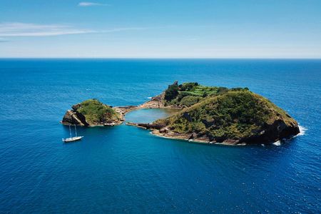 Whale  and dolphin watching cruise with lunch