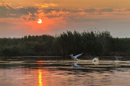 River Cruise Collection: Cruising the Danube Delta