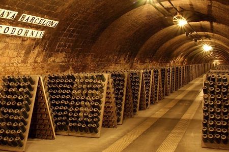 Casa Codorníu guided tour with 2 cava tasting and lunch