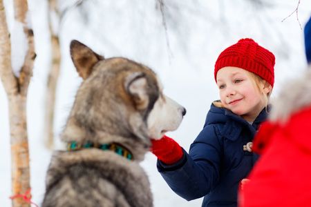 Arctic Circle Highlights Tour with Santa Claus Village