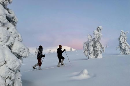 Snowshoeing tour in Pallas fells national park from Levi