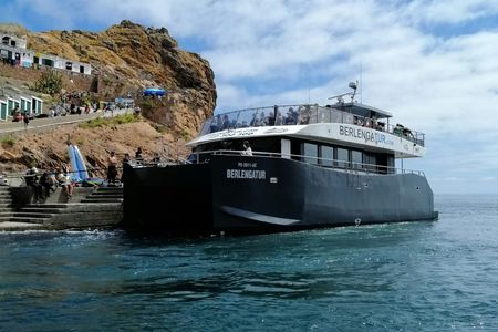 Boat tour to Berlenga island