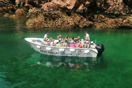 Berlenga island trip and glass-bottom boat cave tour