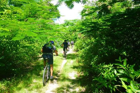 Bras d'Eau and Roches Noires mountain bike tour in Mauritius