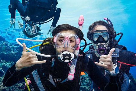 Try Scuba Diving Experience in Madeira