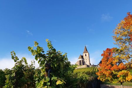 Half-day afternoon tour of Hunawihr, Riquewihr and wine tasting