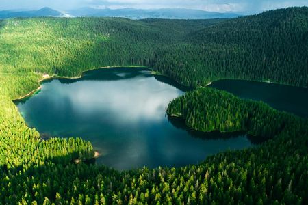 Biogradska Gora and Durmitor National Parks private tour from Podgorica