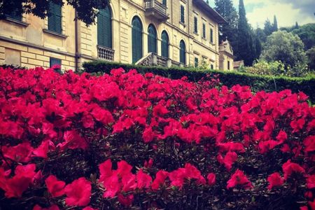 Visit to Tenuta Bossi dei Marchesi Gondi with 3 wine tastings