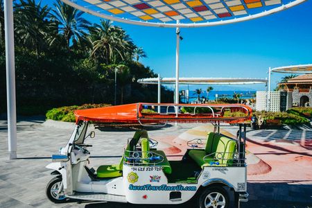 Costa Adeje ecological tuk tuk tour