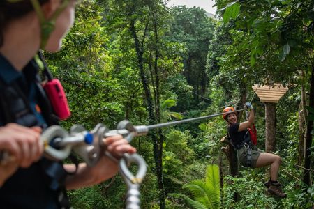 Daintree and Cape Tribulation guided tour with meal